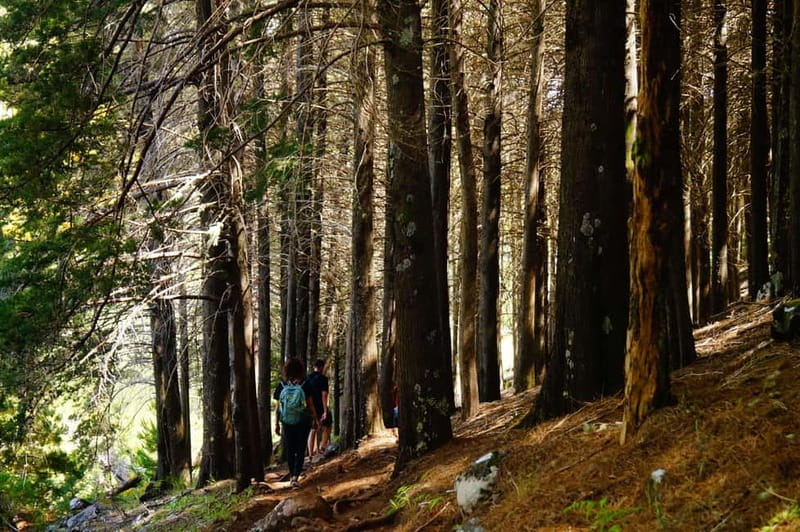 Funchal: Pico do Arieiro Sunrise Plus 2 extra Hiking Trails - Key highlights you’ll remember