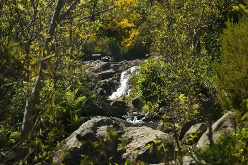 Funchal: Pico do Arieiro Sunrise Plus 2 extra Hiking Trails - The Forest coffee stop: lunch that feels earned, not rushed