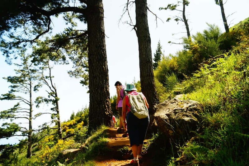Funchal: Pico do Arieiro Sunrise Plus 2 extra Hiking Trails - PR3.1 extra viewpoint and optional Monte drop-off