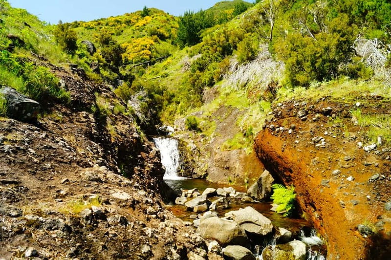 Funchal: Pico do Arieiro Sunrise Plus 2 extra Hiking Trails - Price and value: why $33 can feel like a bargain (with one important add-on)
