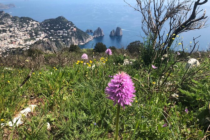 Gastronomic Hike on the Path of the Gods with Food Tasting - What to bring (and what the guide provides)