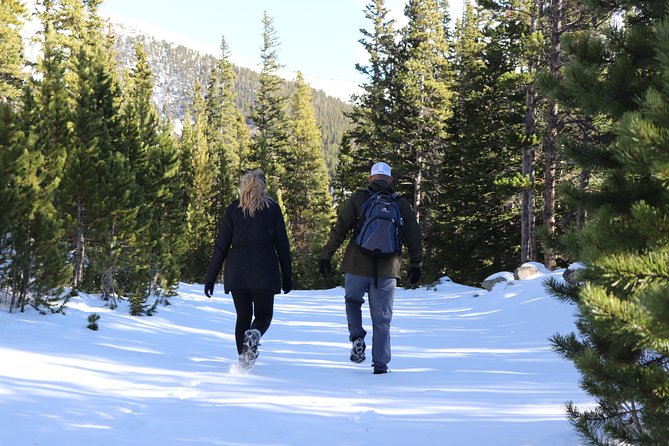Glacier Hiking & Geothermal Cave Pools Tour - Gear, transfers, and the small-group advantage