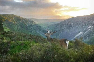 Glendalough Night Hike and History Tour - Meeting point and what to expect from a 4–5 hour group hike
