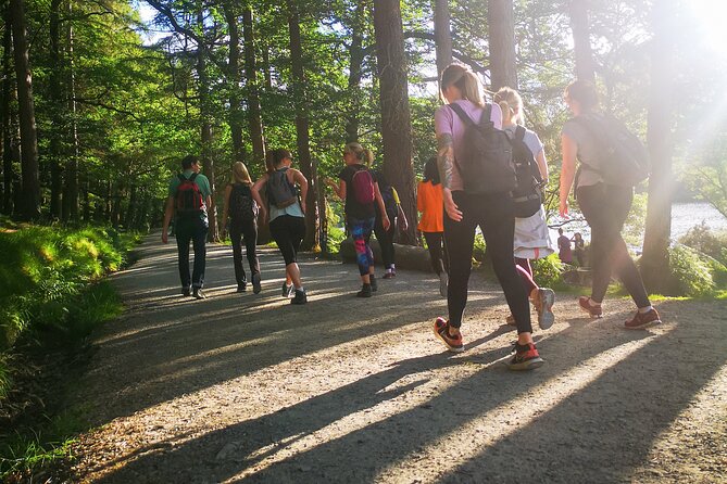 Glendalough Night Hike and History Tour - Price and value: is $44.12 worth it?