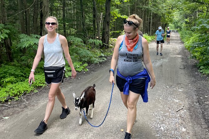Goat Hiking, Beaver Dam Visit and picnic in Quebec forest - Beaver dam visit: how these builders change the whole forest