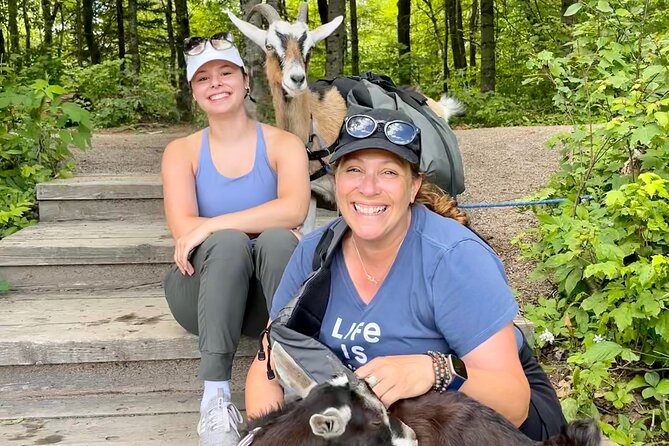 Goat Hiking, Beaver Dam Visit and picnic in Quebec forest - Handcrafted picnic lunch in the trees: the real comfort payoff