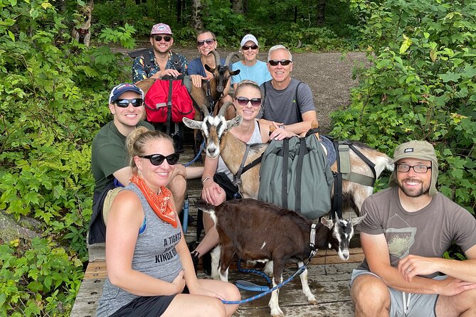 Goat Hiking, Beaver Dam Visit and picnic in Quebec forest - Price and value: why $78.86 feels fair for this kind of day