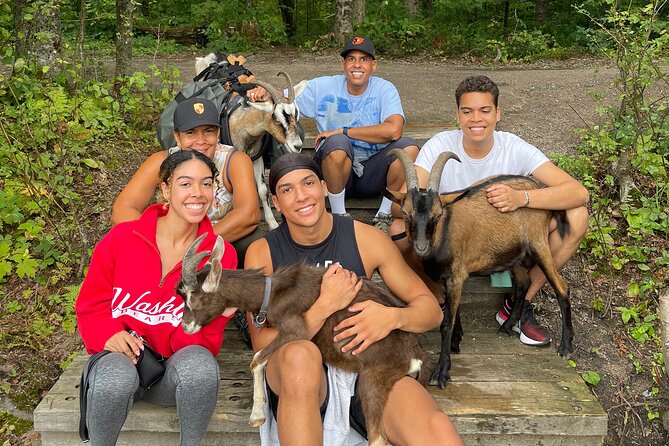 Goat Hiking, Beaver Dam Visit and picnic in Quebec forest - The woods walk: wildlife tracking, plant spotting, and slow-and-steady hiking