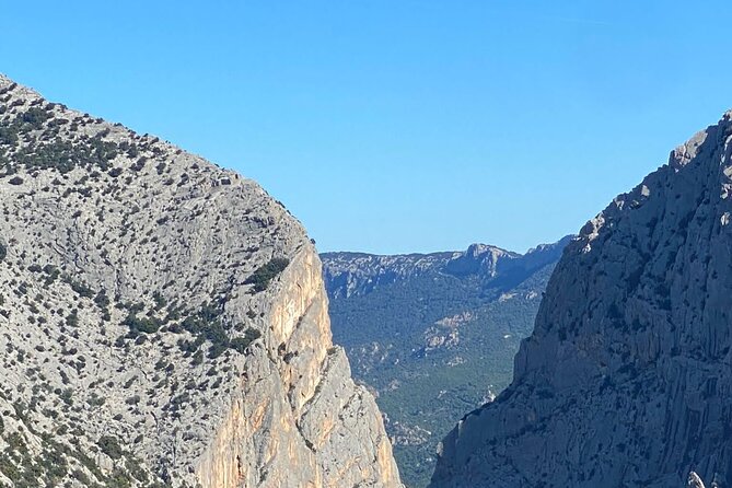 Gorropu canyon guided hike - Inside Gola di Gorropu: 400m walls and a canyon microclimate