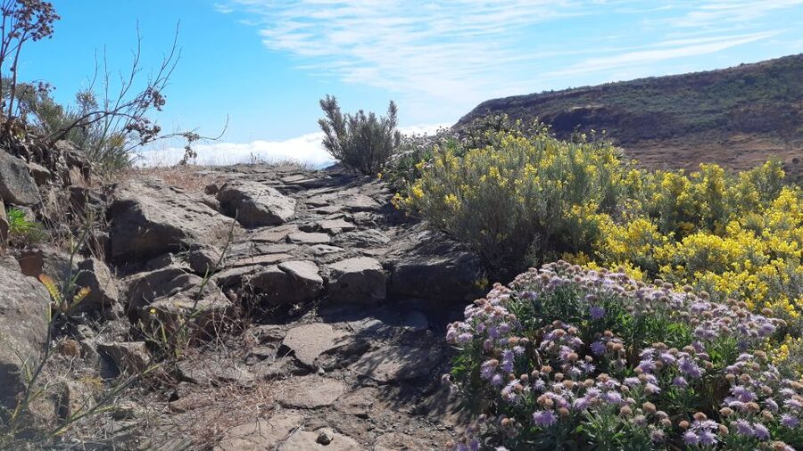 Gran Canaria: Full-Day Guided Hiking With Snacks - Route planning based on weather and what’s in season