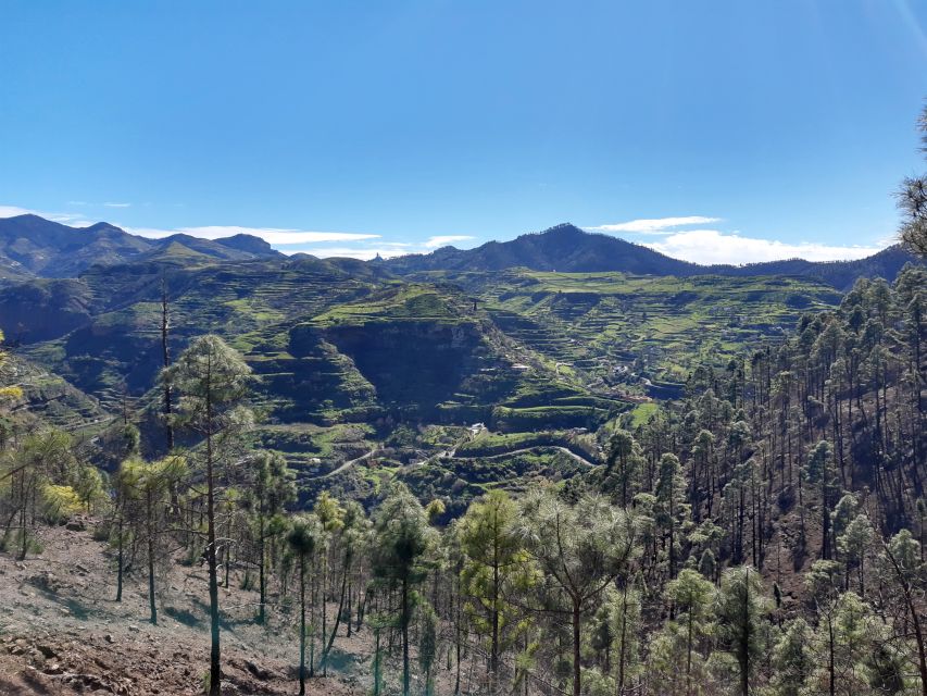 Gran Canaria: Full-Day Guided Hiking With Snacks - What the hike is like: distance, ascent, and effort level
