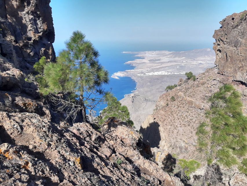 Gran Canaria: Full-Day Guided Hiking With Snacks - What to pack (and how to dress for Canary weather swings)