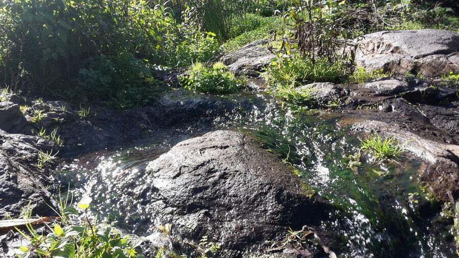 Gran Canaria: "Magic Waterfalls" Hiking Tour - Key Highlights You’ll Actually Feel on the Trail