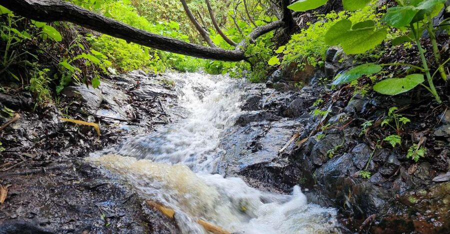 Gran Canaria: "Magic Waterfalls" Hiking Tour - Gran Canaria’s Waterfalls Happen Because the Weather Changes Fast