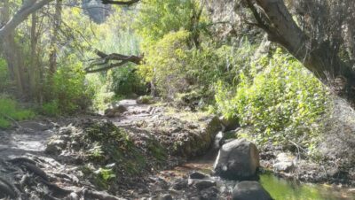 Gran Canaria: "Magic Waterfalls" Hiking Tour - Hotel Pickup and Start Times: Where the Day Begins