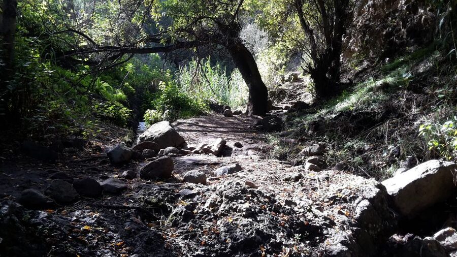 Gran Canaria: "Magic Waterfalls" Hiking Tour - Price and Value: What $74 Includes (and Why It Might Be Worth It)