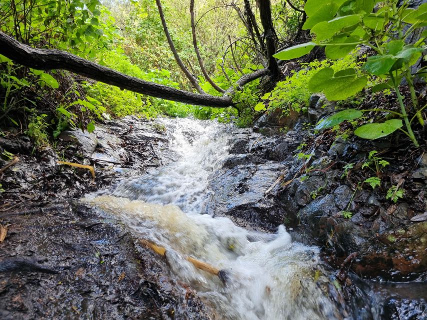 Gran Canaria: "Magic Waterfalls" Hiking Tour - Who This Tour Suits Best (and Who Might Feel Frustrated)