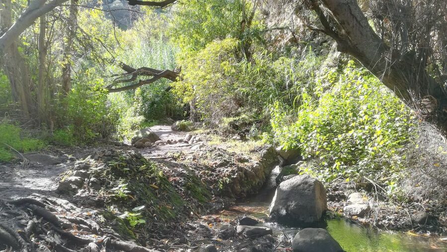 Gran Canaria: "Magic Waterfalls" Hiking Tour - Hotel Pickup and Start Times: Where the Day Begins