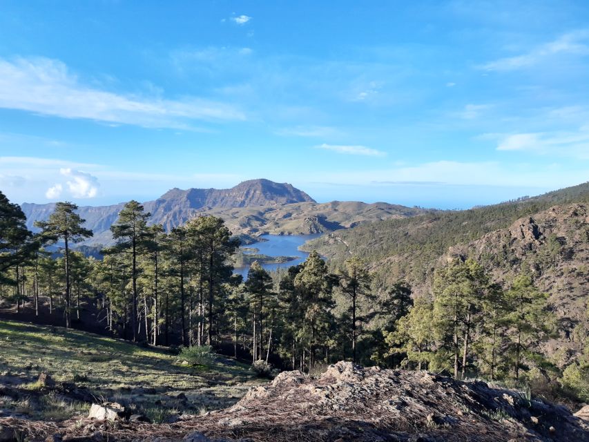 Gran Canaria: "Peaks of Gran Canaria" Hiking Tour - Why Gran Canaria Peaks Feel Like a Real Getaway