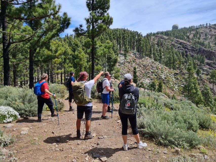 Gran Canaria: "Peaks of Gran Canaria" Hiking Tour - Pickup and Transport: Door-to-Door without the Stress