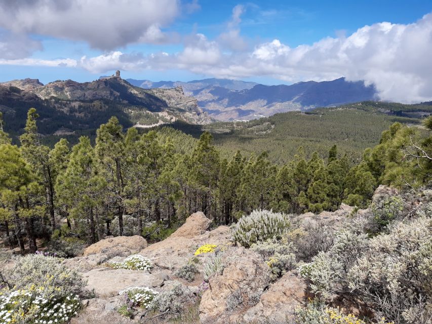Gran Canaria: "Peaks of Gran Canaria" Hiking Tour - What the 9 Hours Actually Feel Like on Trail