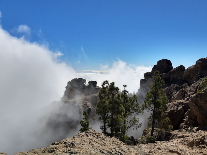 Gran Canaria: "Peaks of Gran Canaria" Hiking Tour - Roque Nublo, Coasts, and Teide When Weather Plays Along