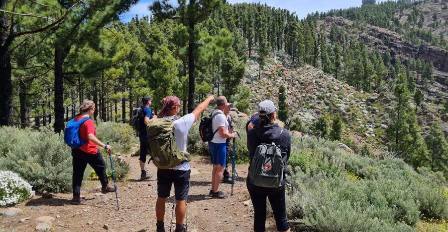 Gran Canaria: "Peaks of Gran Canaria" Hiking Tour - The Route Numbers: Pico de las Nieves, Altitude, and Day-to-Day Differences