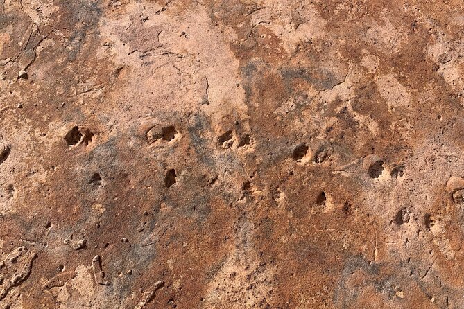 Grand Canyon Biblical Creation Hiking Tour • South Kaibab Trail - Food, water, and weather: the real-life checklist