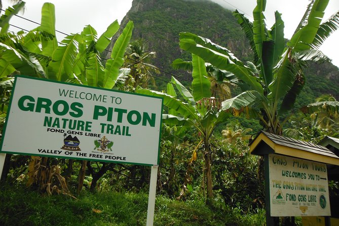 Gros Piton Hike with Dannyboy & Co. - Getting to the top: summit views and the Petit Piton framing