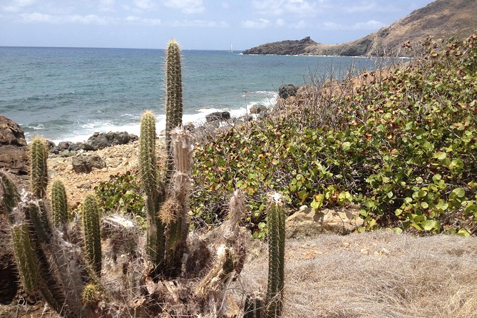 Guana Bay Coastal Hike - St. Maarten’s East Coast Views From a Trail, Not a Road