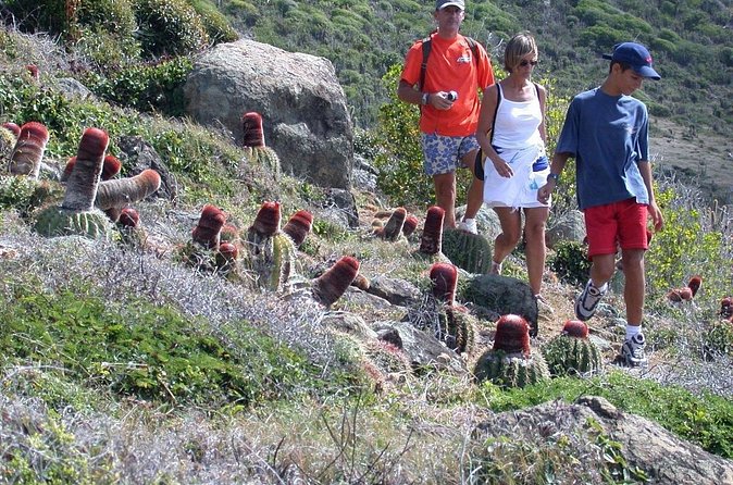 Guana Bay Coastal Hike - Hip Pack, Water, and Drinks: Small Things That Help