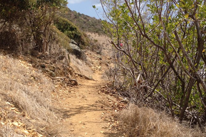 Guana Bay Coastal Hike - Who Should Book, and Who Should Skip It