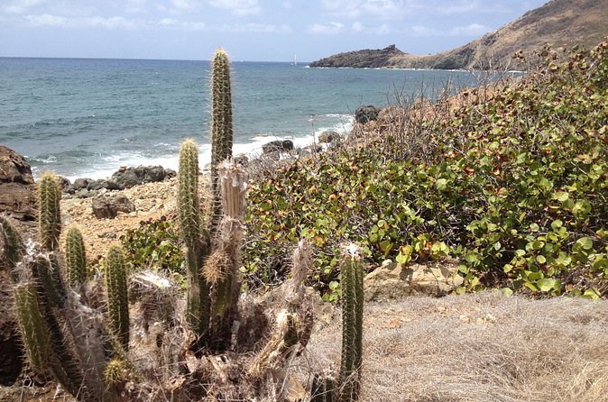 Guana Bay Coastal Hike - Should You Book the Guana Bay Coastal Hike?