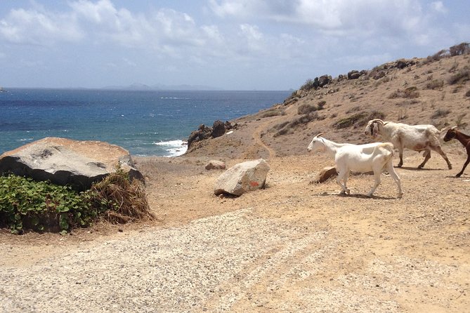 Guana Bay Coastal Hike - The 2.5-Hour Route: Guana Bay to Geneve Bay