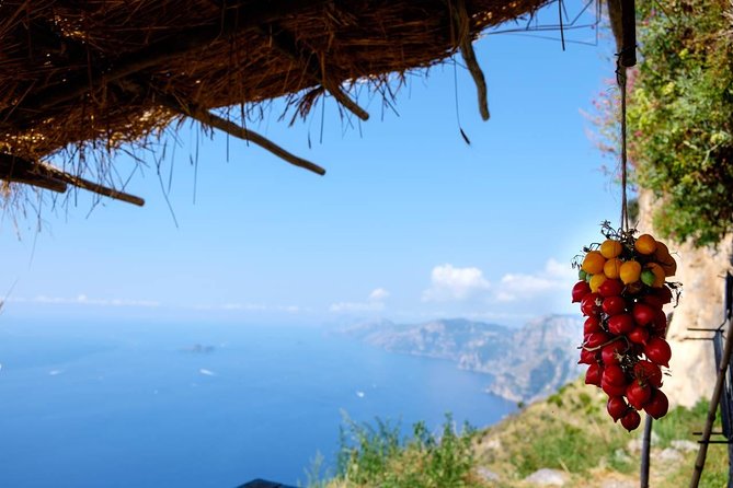 Guided Day Hike on the Path of the Gods with Sorrento Transfer - Key highlights you’ll feel on day one