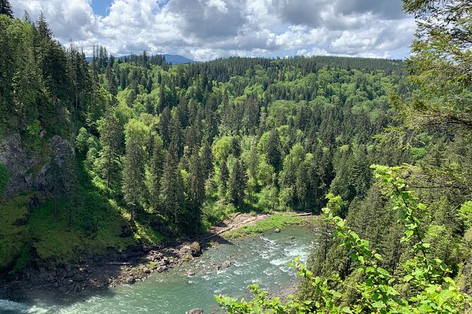 Guided forest hike to Seattle waterfalls incl. Snoqualmie Falls - North Bend and Snoqualmie town stops: trains, Twin Peaks, and logging roots