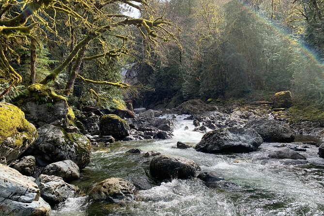 Guided forest hike to Seattle waterfalls incl. Snoqualmie Falls - Borst Lake and Mount Si: the quiet reflection stop
