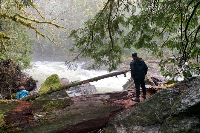 Guided forest hike to Seattle waterfalls incl. Snoqualmie Falls - Ollalie State Park: the 2-hour moderate hike that actually needs footwear