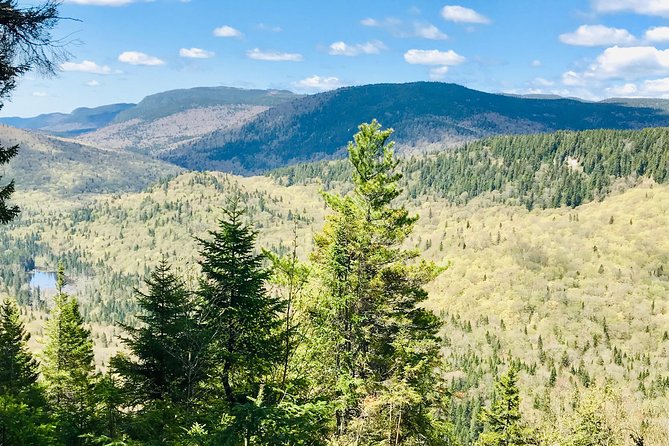 Guided Hike in Jacques-Cartier National Park - Group size and guides: why the day can feel personal