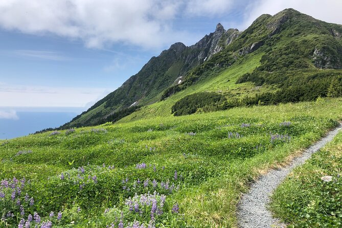Guided Hike in Sitka, Alaska - Key highlights you’ll care about