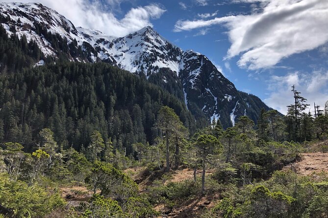 Guided Hike in Sitka, Alaska - Pickup that works with cruise timing and real-world plans