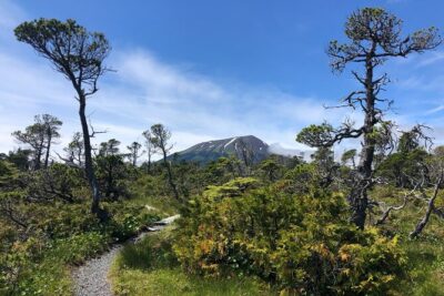 Guided Hike in Sitka, Alaska - Tongass National Forest stop: the hike experience, minus the guesswork