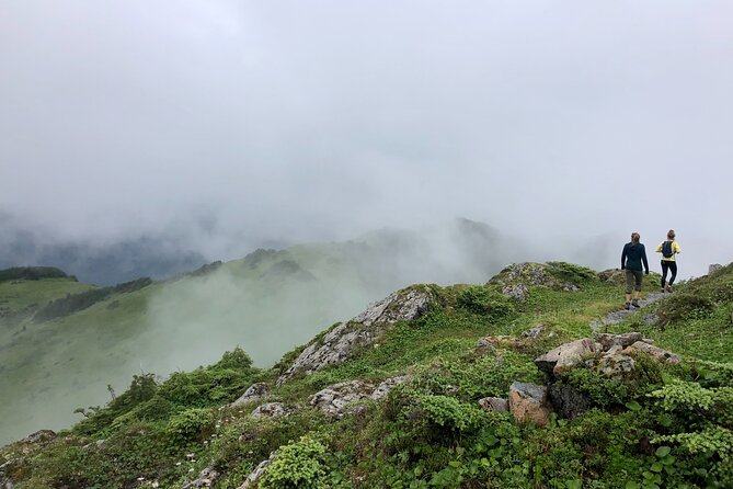 Guided Hike in Sitka, Alaska - Peaks and Pints: hike first, brewery second
