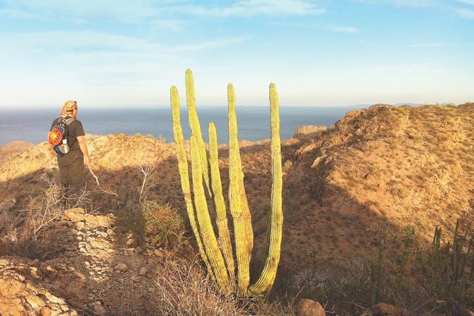 Guided Hike in Tabor Canyon - Morning Pickup and the Real Meaning of Tabor Canyon