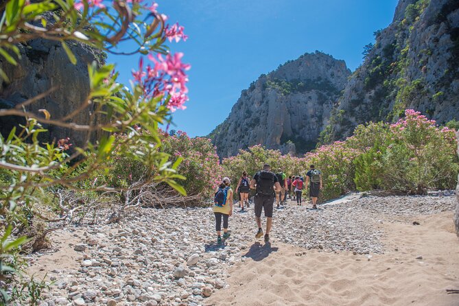 Guided hike to Cala Luna, the pearl of the Gulf of Orosei - Price and value: what $72.56 buys you (and what it doesn’t)