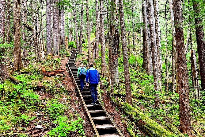 Guided Hike | TONGASS NATIONAL FOREST - Key Things to Know Before You Go