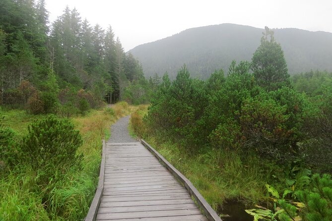 Guided Hike | TONGASS NATIONAL FOREST - What You’re Paying For: Real Guide Time, Not Just a Trail Ticket