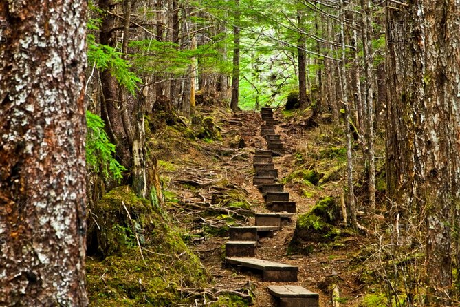 Guided Hike | TONGASS NATIONAL FOREST - Snacks, Water, and Rain Gear That Actually Help