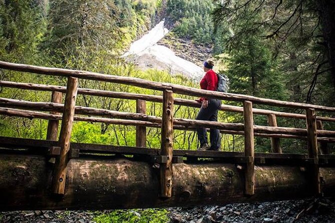 Guided Hike | TONGASS NATIONAL FOREST - Wildlife Expectations: Good for Nature Learning, Not Guaranteed Animal Action