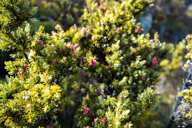 Haleakala Crater Hiking Experience - Up toward 10,000 feet: walking past cinder cones